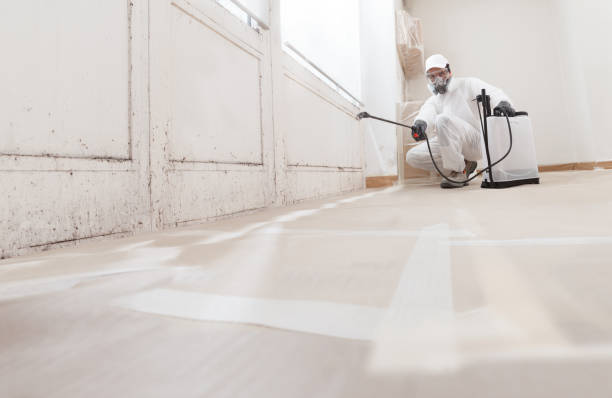 24/7 Emergency Mold Remediation experts in Hyndman, PA