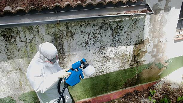Top rated local Mold Remediation specialists in Hyndman, PA